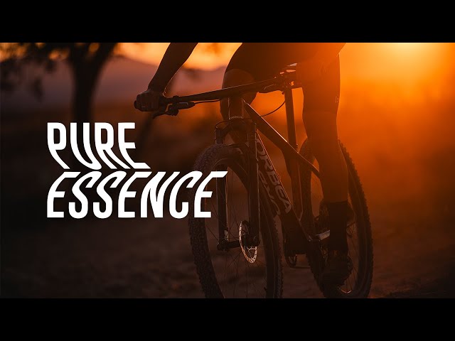 NEW ORBEA ALMA | PURE ESSENCE