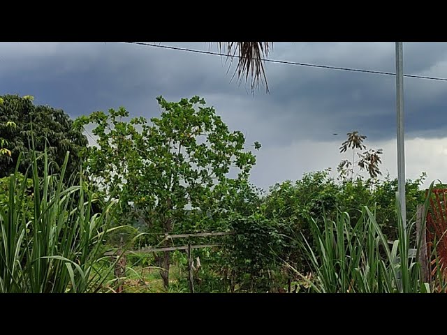 Chuva no Sertão no Desbravando o Sertão  ao vivo!