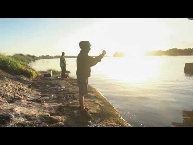 Crappie bite starting on lake OKEECHOBEE KISSIMMEE RIVER FRONT KING BAR 🎣👍