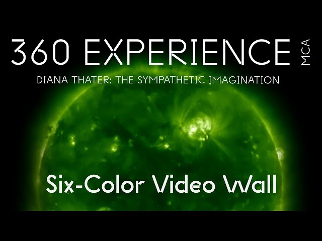 Six-Color Video Wall – Diana Thater: The Sympathetic Imagination