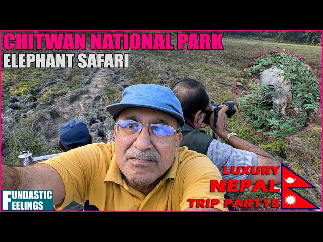 Elephant Safari at Chitwan National Park - Luxury Nepal Trip Part15