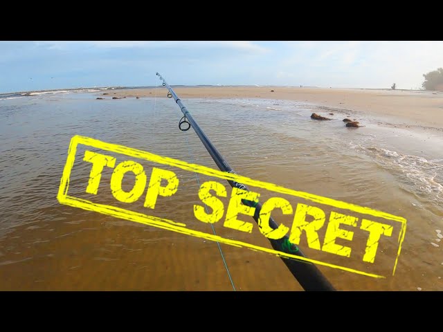 Why You Should Use This Secret Bait! Surf Fishing Ponce Inlet New Smyrna Beach Florida