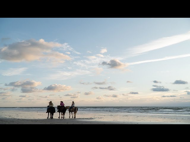 You've Gotta Try: Beach Horseback Riding in Amelia Island