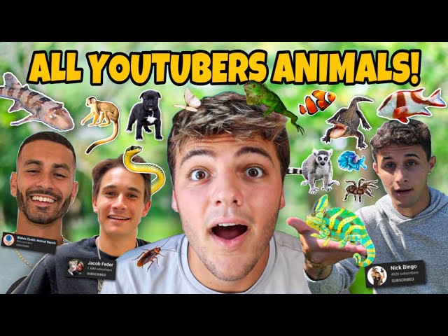 Visiting EVERY ANIMAL YouTuber's HOUSE!! *EPIC PETS*