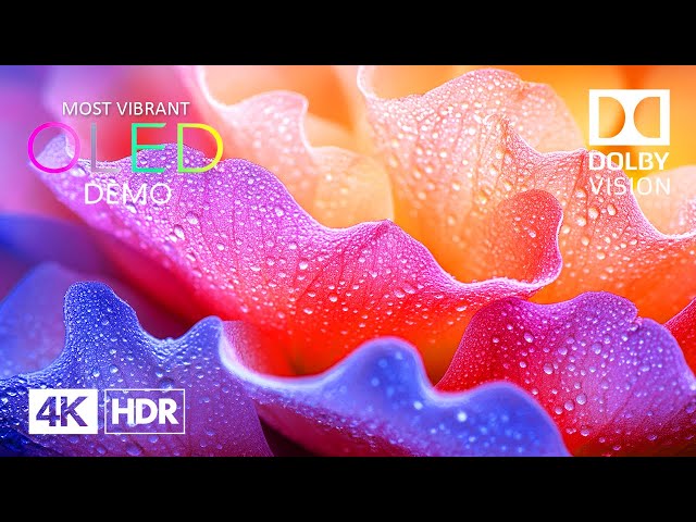 MOST VIBRANT 4K 60 FPS HDR Dolby Vision (4K Video) ULTRA HD