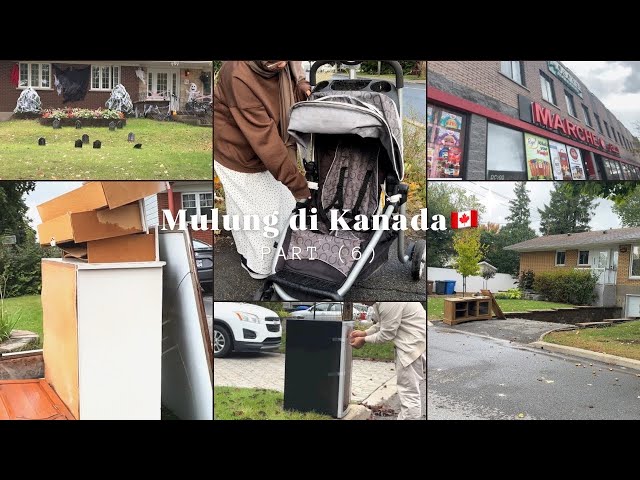 MULUNG KULIT AYAM DI KANADA?!!🇨🇦 (Part 6) #mulung