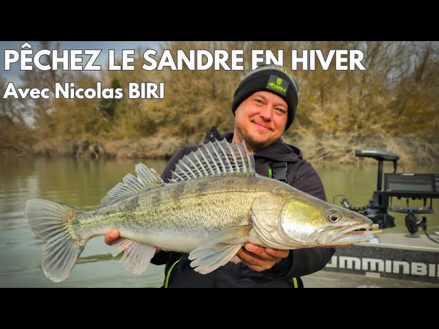 Session SANDRES aux Leurres Souples dans le Rhône