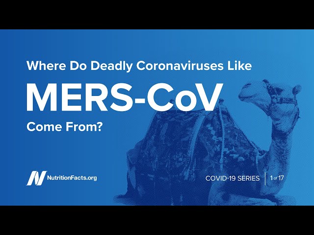 Where Do Deadly Coronaviruses Like MERS CoV Come From?