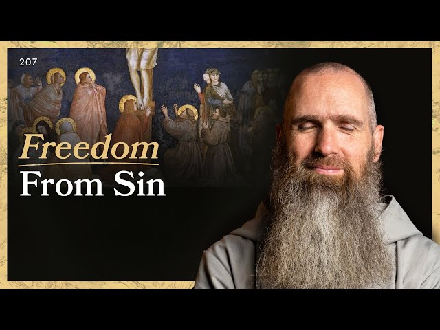 How to Get Free From Sin | LITTLE BY LITTLE | Fr Columba Jordan CFR