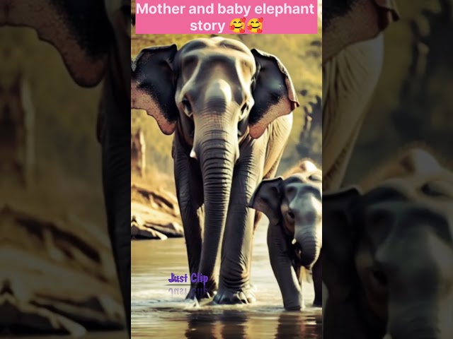 Mother and baby elephant story 🥰🌸#shortvedio #ytshort #trendingshorts #elephant