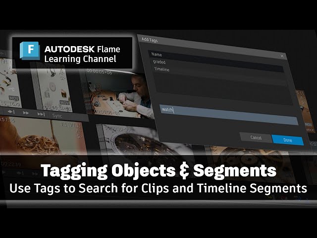 Tagging Media Panel Objects and Timeline Segments - Flame 2025.1