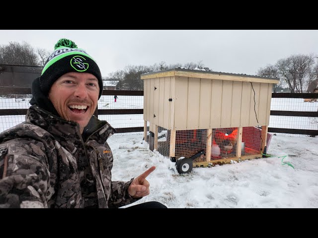 How I built a Custom Chicken Coop in 48 hours!