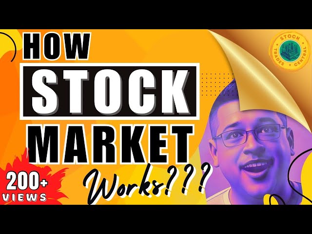 Stock Market 101: The Fundamentals Revealed