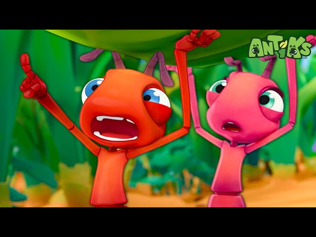 Road Rage | Antiks 🐜 | Funny Cartoons for Kids