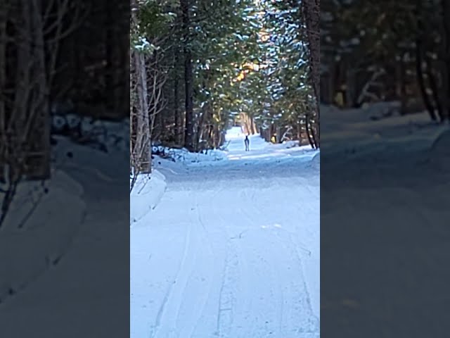 "I WENT FOR A WALK & THIS HAPPENED!" @BackyardNatureBN