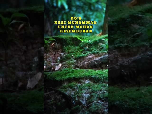 DOA NABI MUHAMMAD UNTUK MOHON KESEMBUHAN