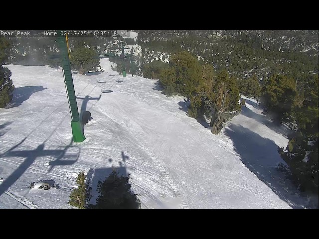 Bear Peak Cam