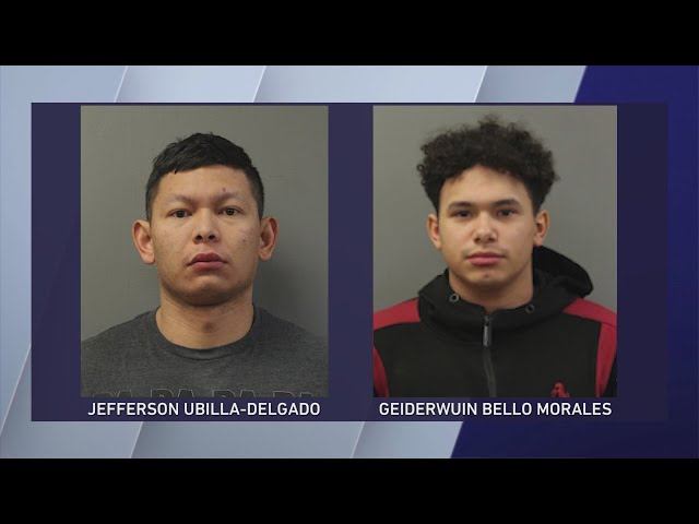 Pre-trial release denied for 2 men accused of gruesome Norwood Park murder; new details revealed