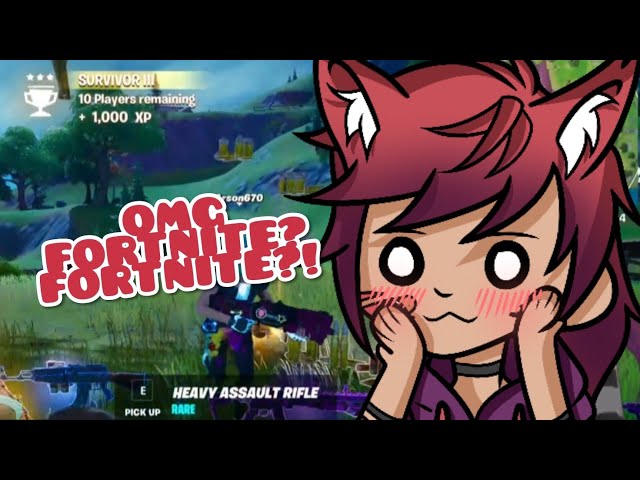 Catboy Plays Fortnite :3 - Silly Fortnite Clip Compilation 1