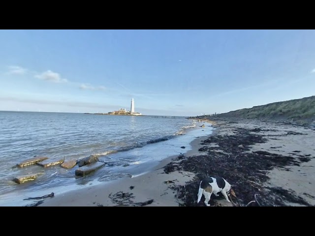 St Mary's Lighthouse, Whitley Bay. VR 3D 180.