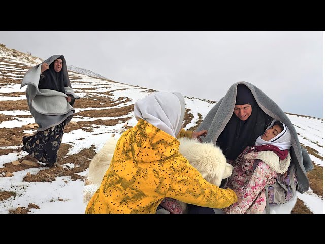 "Courage in the Blizzard: How Heroic Grandmother Became the Savior of Orphaned Girl"