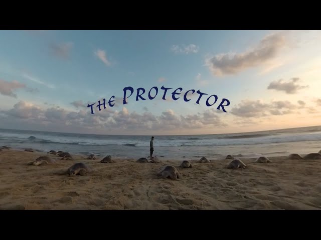 The Protector -  360 Trailer