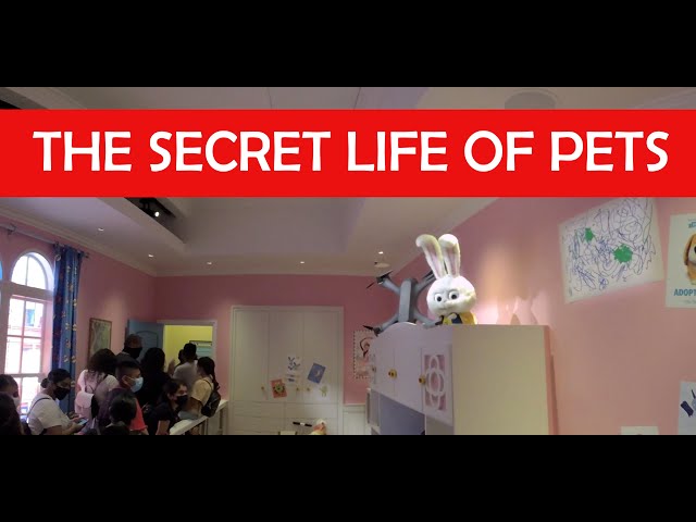 The Secret Life Of Pets Ride - Universal Studios Hollywood - VR180