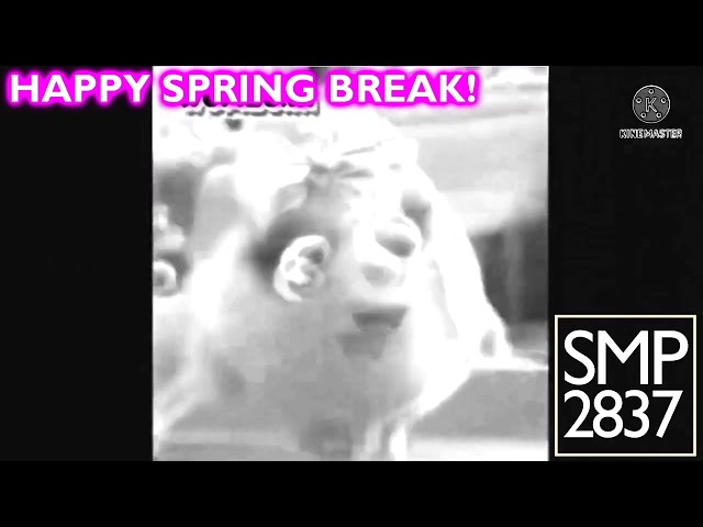 All Preview 2 Sunny Bunnies Deepfakes V2 In Black And White Chorded