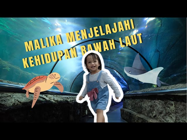 SEAWORLD ANCOL | MENJELAJAH KEHIDUPAN BAWAH LAUT KE AQUARIUM RAKSASA