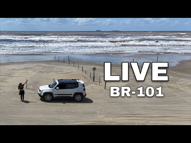 LIVE BR-101