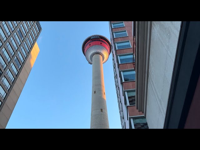 420 TRAVEL VLOG (CALGARY, ALBERTA CANADA)