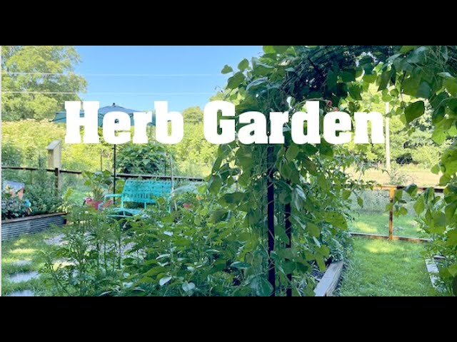 Herb Garden Goals and Ideas