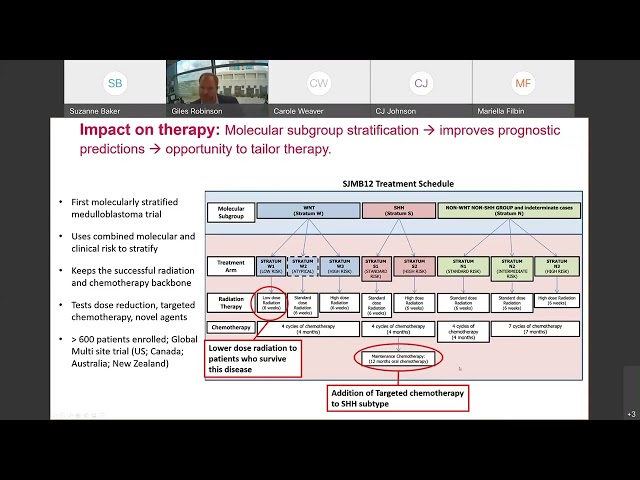 015 Tailoring Medulloblastoma Therapy to Fit the Evolving Molecular Landscape   St