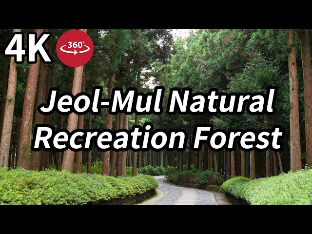 [4K] Ep.176 | Road View 2.0 : 제주절물자연휴양림 둘러보기 (Tour of Jeol-Mul Natural Recreation Forest)