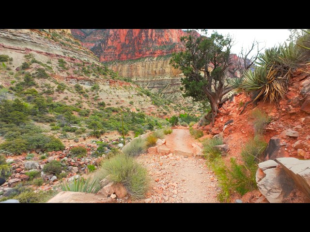 Grand Canyon Manzanita to Phantom Ranch Hike/Run | Full Trail POV | 2024 R2R2R