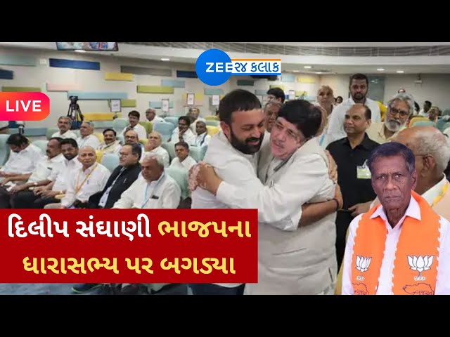 Gujarat BJP: ભાજપના ધારાસભ્ય એ કોર્ટમાં સાબિત કરવું પડશે કે સાચા છે કે ખોટા,  નેતાઓ જાહેરમાં બાખડ્યા