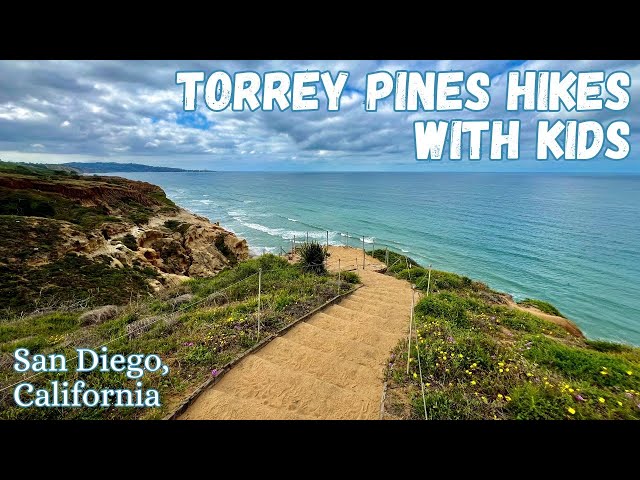 Torrey Pines Hikes with Kids