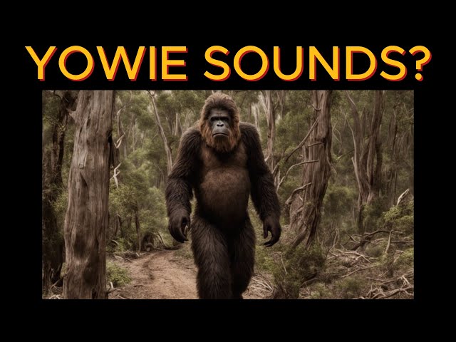 Yowie/Bigfoot Audio Captured in Australian Bush