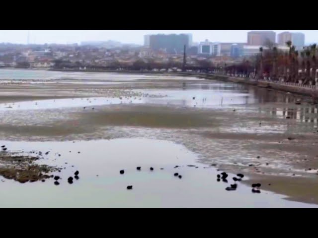 The sea goes away from the coast in Turkey, after earthquake