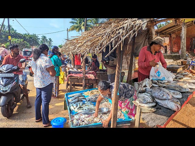 Stunning Fish Cutting in the Street Market | Fresh for 2025