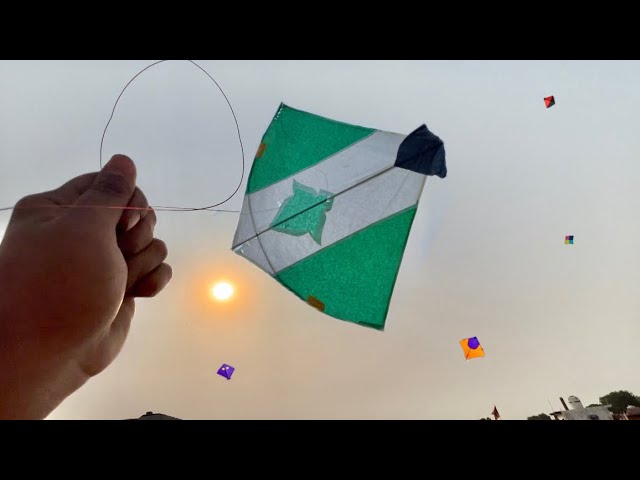 Kite Looting From Terrace | Kite Catching | Kite