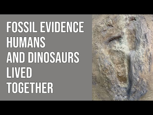 Human Footprint in Acrocanthosaurus Track - Proof Dinosaurs and Man Lived Together