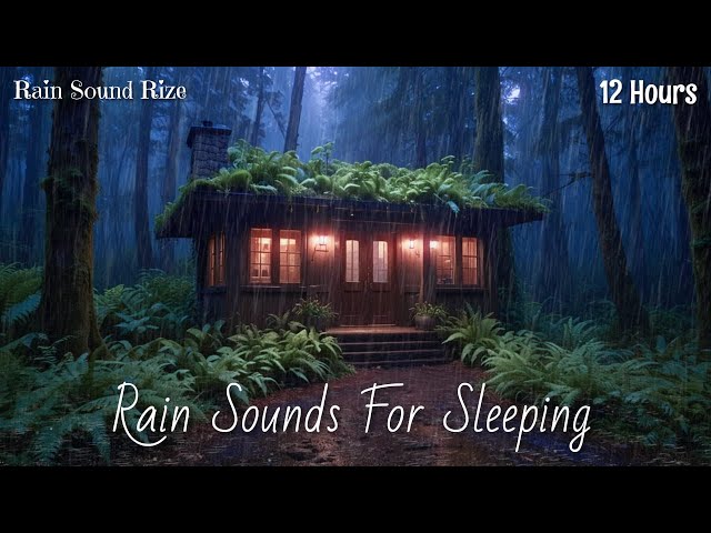 Rain and Thunder Sounds for Deep Sleep | Rain Sounds For Sleeping - ASMR