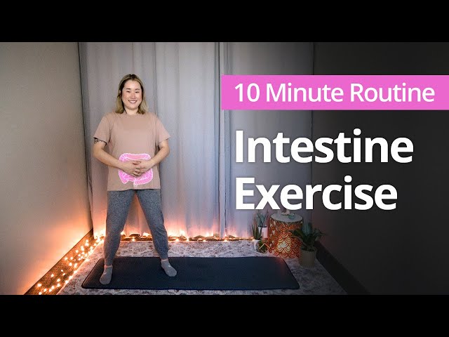 INTESTINE EXERCISE for Gut Health | 10 Minute Daily Routines