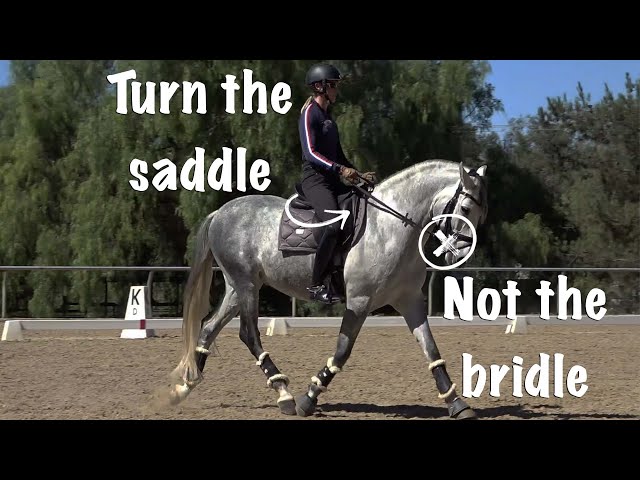 Turn the Saddle not the Bridle