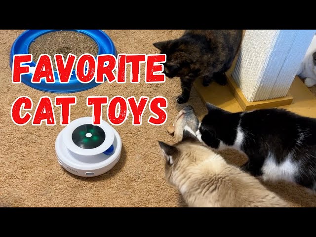 The Best Cat Toys #happycats  #catlovers  #cats