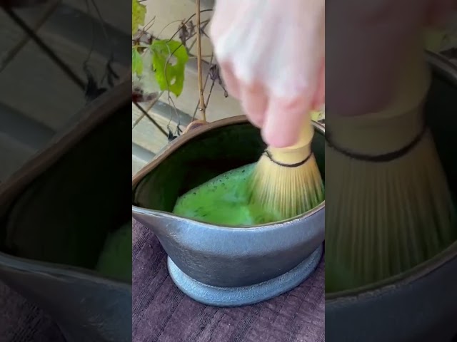 What is a matcha cultivar?