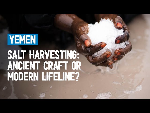 Amidst conflict and turmoil, how is salt empowering this Yemeni community?