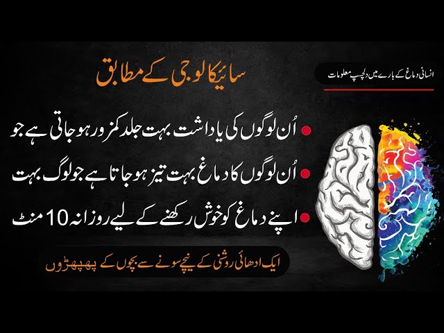 Amazing Facts | New Psychology Facts in Urdu Hindi | Interesting Facts | نفسیات کے مطابق