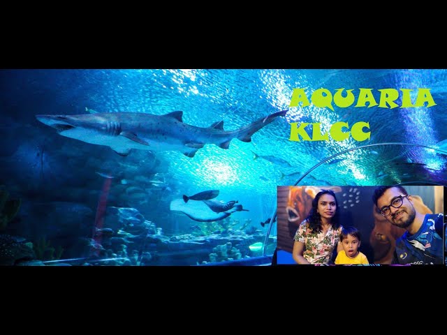 AQUARIA KLCC : Malaysia Vlog Day 6